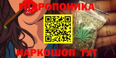 мяу мяу мука Апшеронск