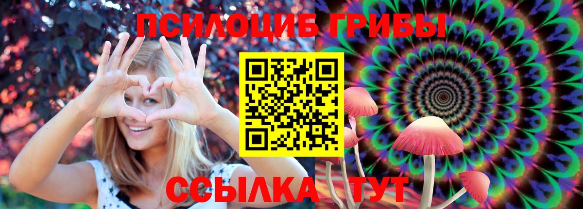 продажа наркотиков  Галлюциногенные грибы MAGIC MUSHROOMS  Вход с VPN  Беслан 